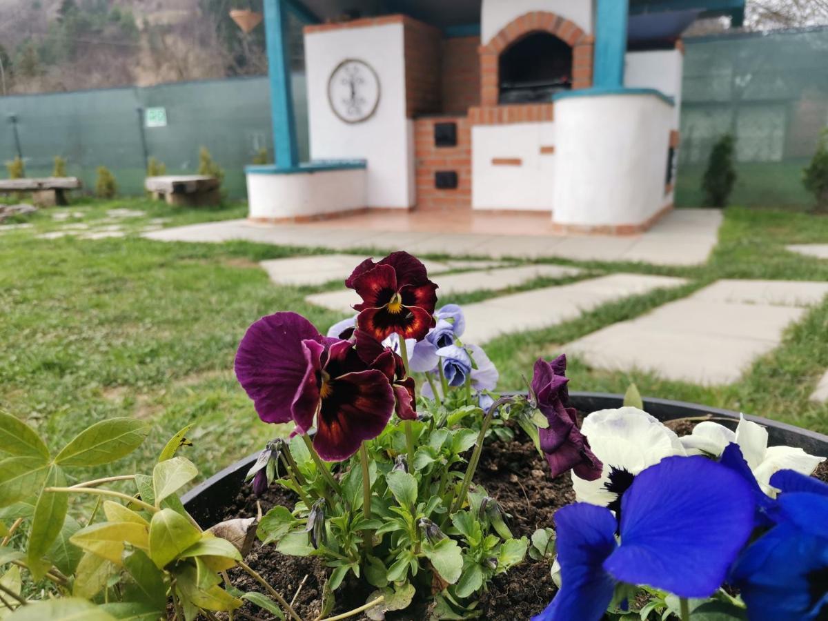 Chalet Bora Viσeu de Jos Εξωτερικό φωτογραφία