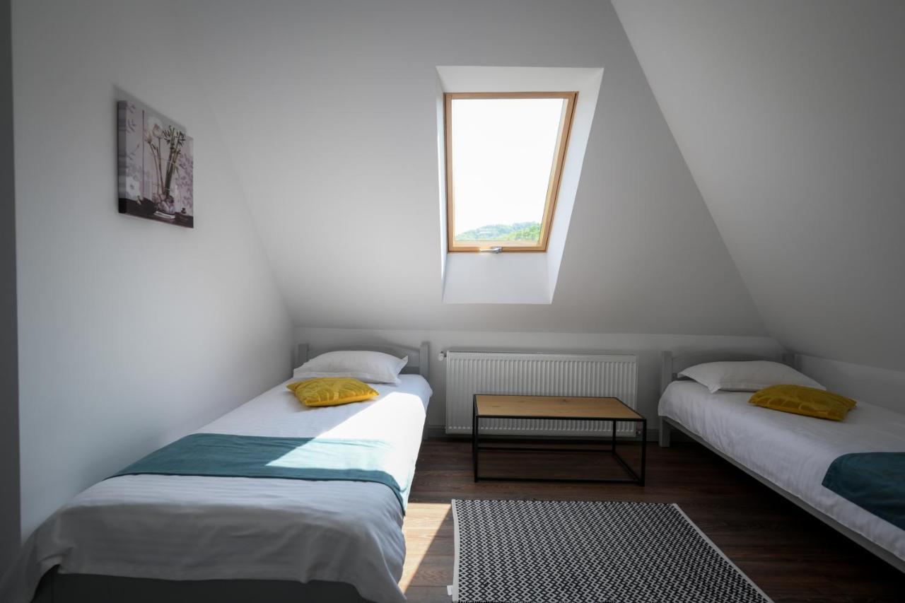 Chalet Bora Viσeu de Jos Εξωτερικό φωτογραφία