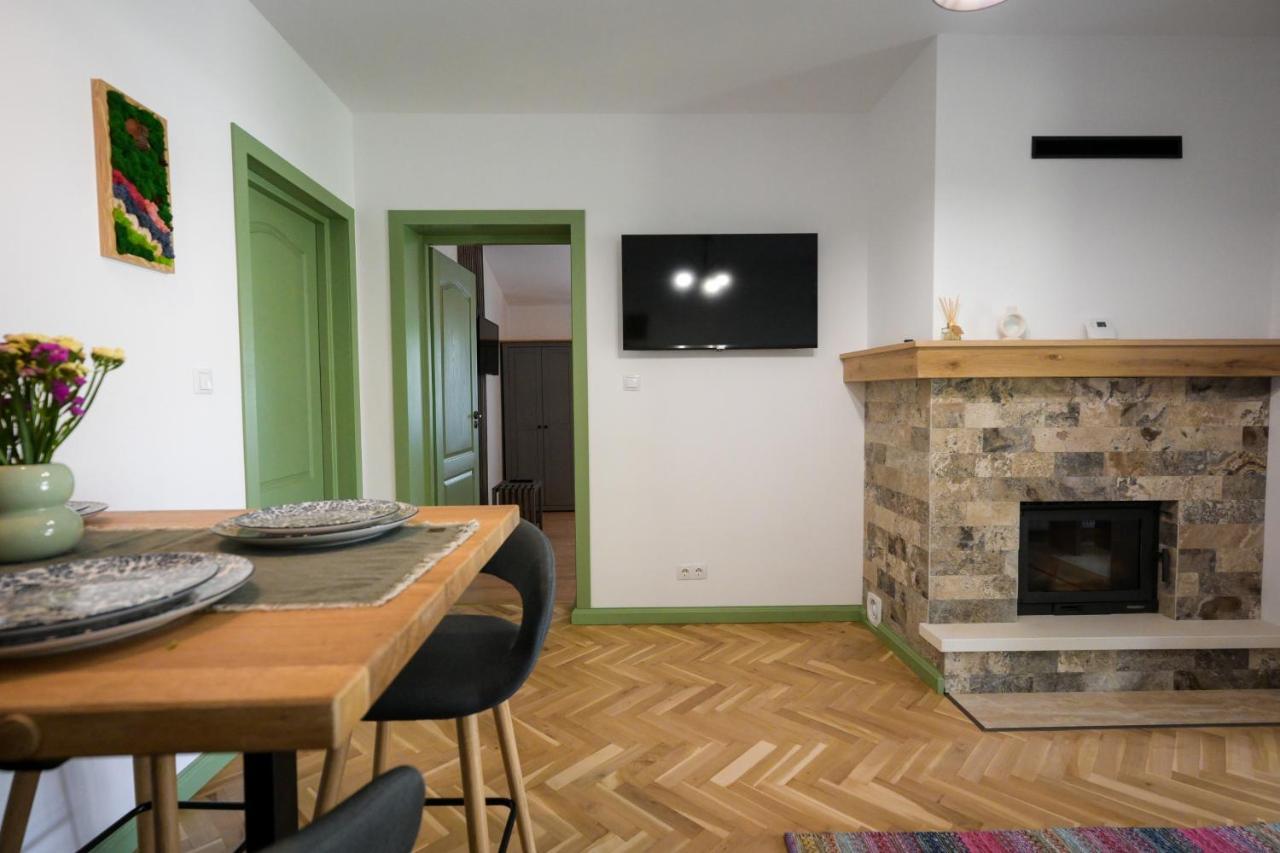 Chalet Bora Viσeu de Jos Εξωτερικό φωτογραφία