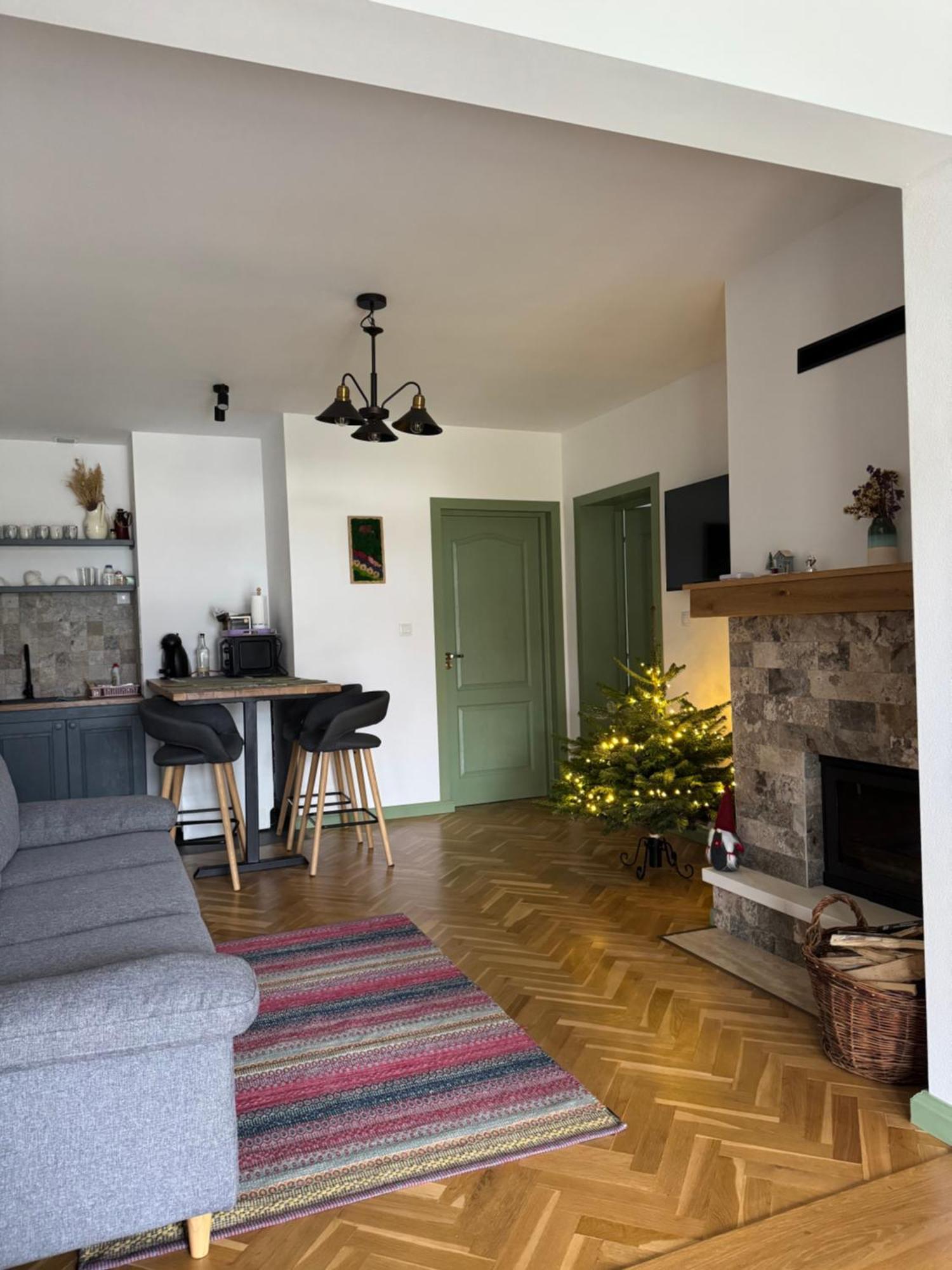 Chalet Bora Viσeu de Jos Εξωτερικό φωτογραφία