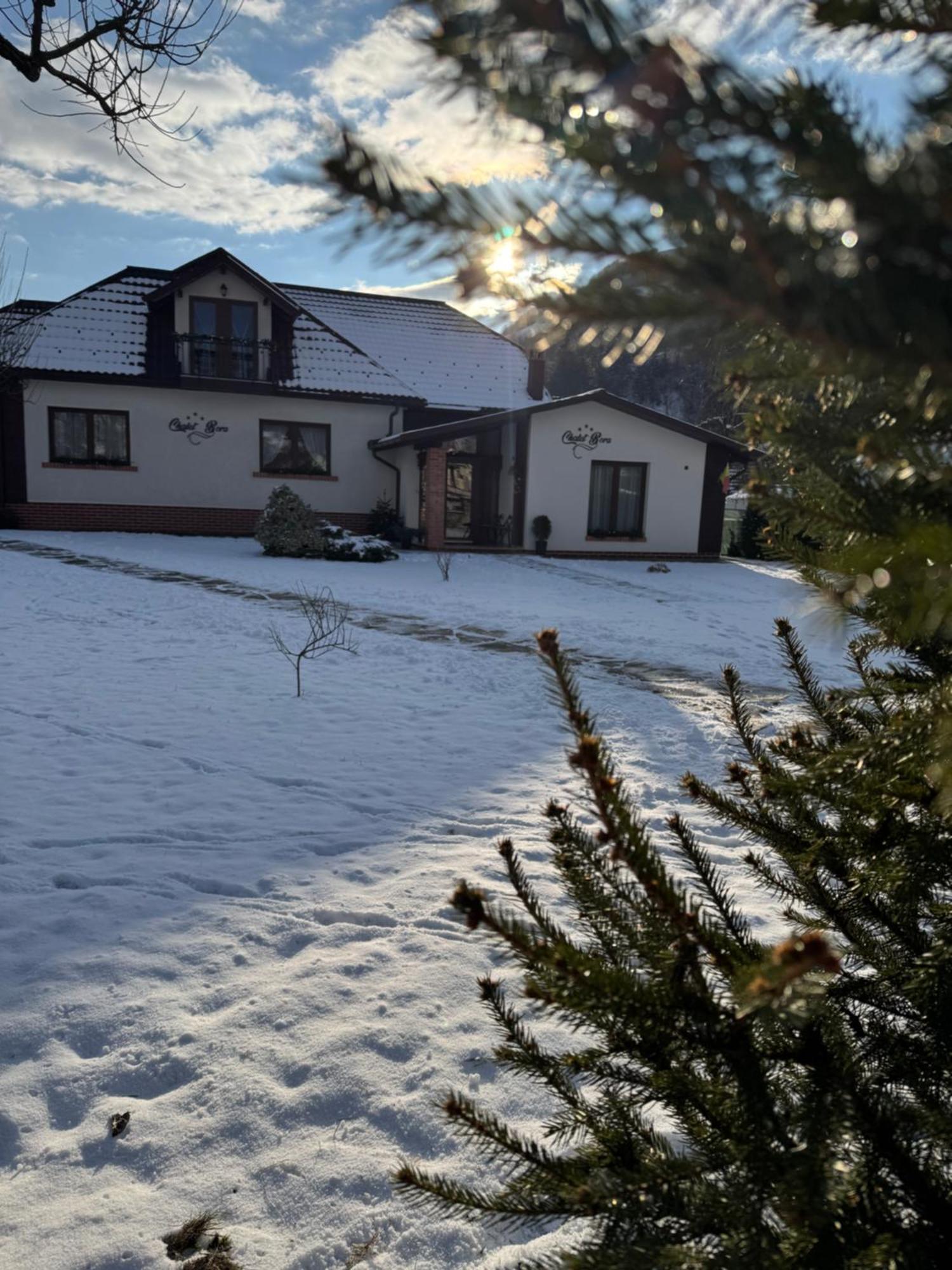 Chalet Bora Viσeu de Jos Εξωτερικό φωτογραφία