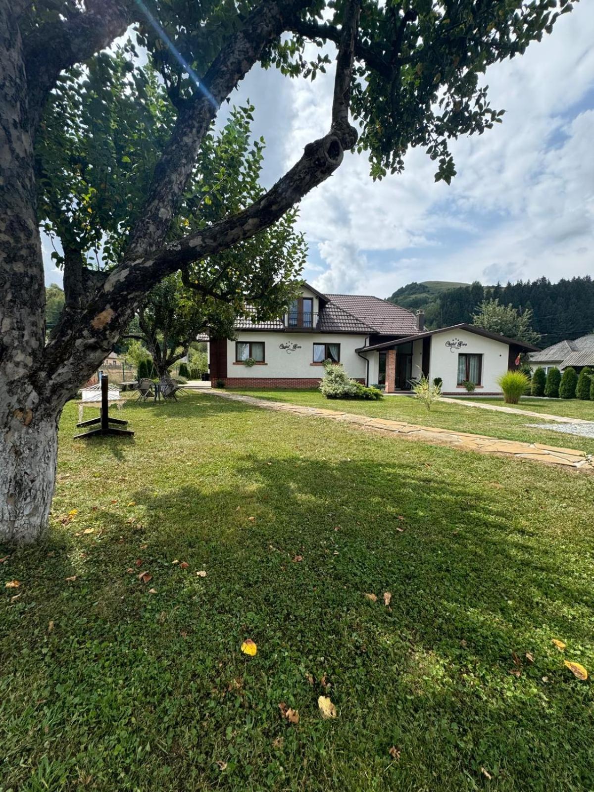 Chalet Bora Viσeu de Jos Εξωτερικό φωτογραφία