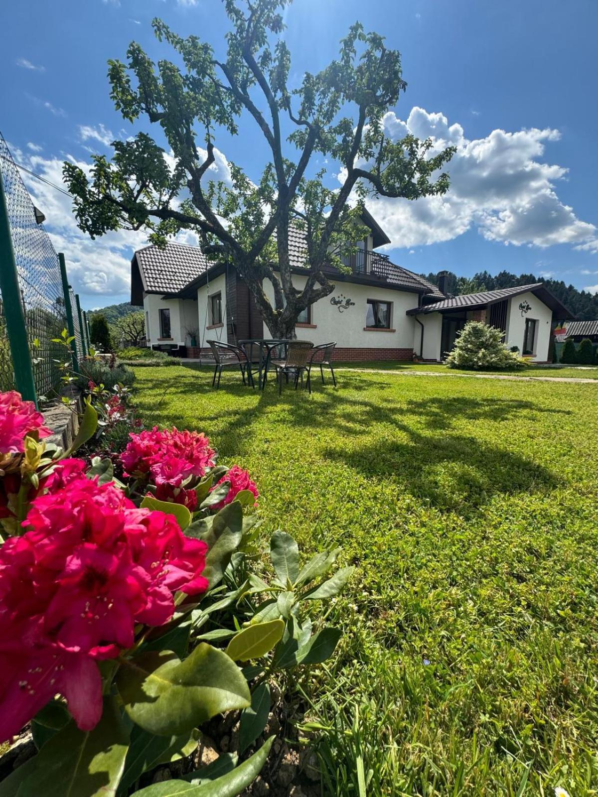 Chalet Bora Viσeu de Jos Εξωτερικό φωτογραφία