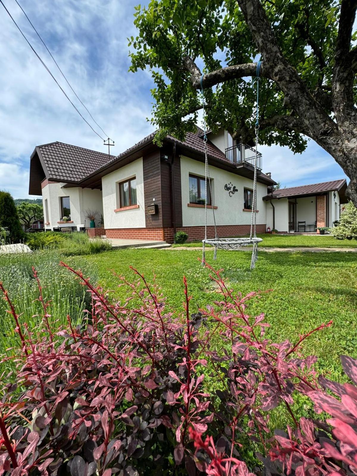 Chalet Bora Viσeu de Jos Εξωτερικό φωτογραφία