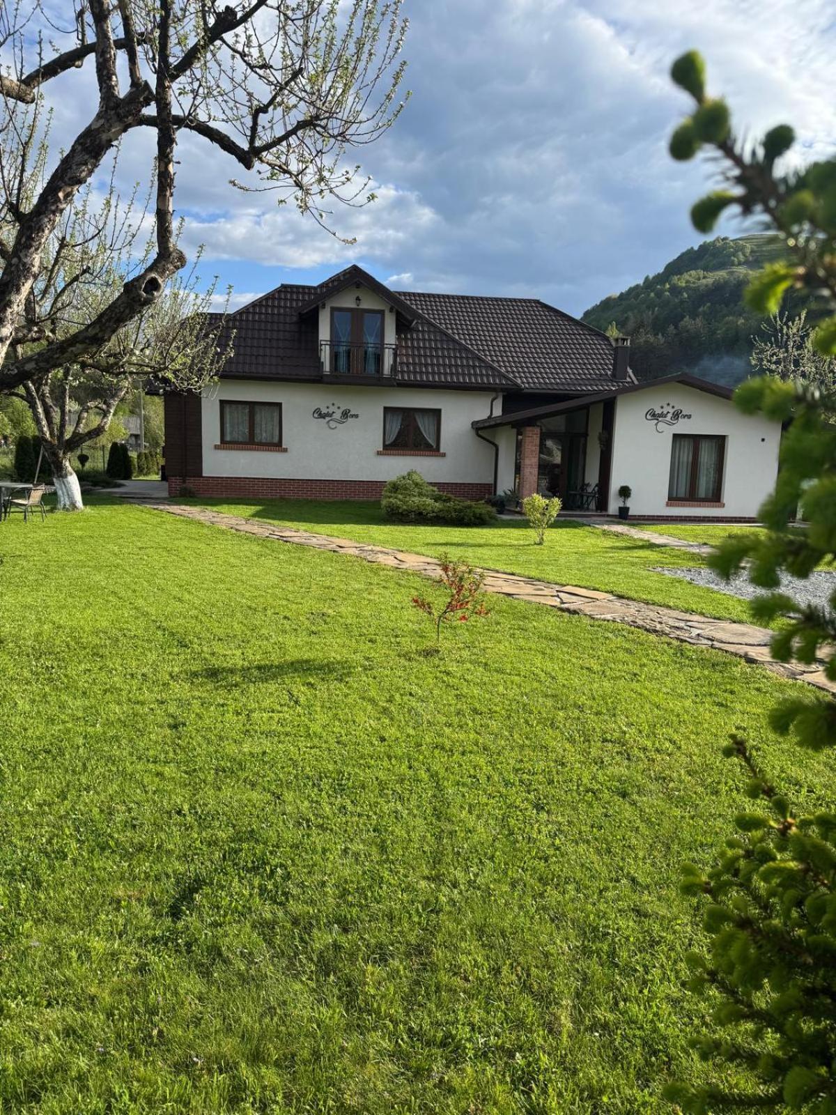 Chalet Bora Viσeu de Jos Εξωτερικό φωτογραφία